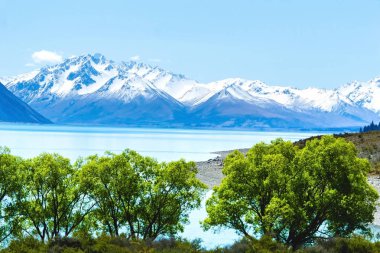 Lake Tekapo görüntü orta katman çarpıcı sahne ön plan katmanı ve uzak kar Güney Alpler'in arka odak katmanda şapkalı.