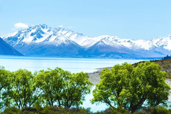 Lake Tekapo  mid image layer stunning scenery foreground layer and distant snow capped Southern Alps in rear focus layer
