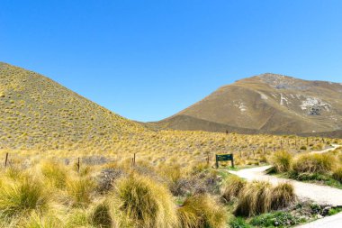 Geçit karayolu Lindis Pass manzara tussock bakış açısı için tepeler kaplı