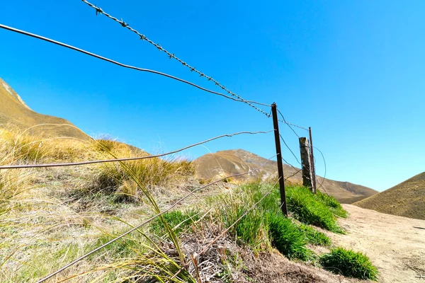 Lindis Passieren Landschaft Aus Goldenen Hügeln Unter Blauem Himmel — Stockfoto