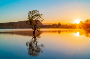 O Wanaka ağaç söğüt ağacının gölde büyüyen popüler turistik sahne karla kaplı dağların arkasında yansıyan günbatımı renkleri ile uzun pozlama mevcuttur.