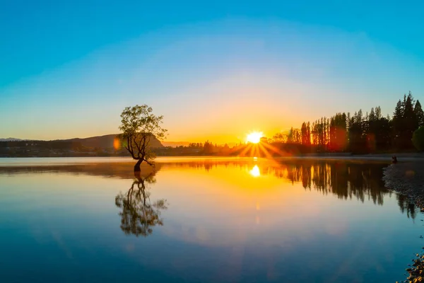 O Wanaka ağaç söğüt ağacının gölde büyüyen popüler turistik sahne karla kaplı dağların arkasında yansıyan günbatımı renkleri ile uzun pozlama mevcuttur.
