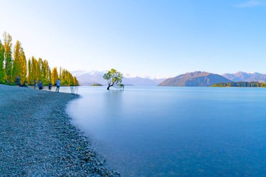 Wanaka Yeni Zelanda - 15 Ekim 2018; O Wanaka, söğüt ağacı gölde büyüyen popüler turistik sahne uzun pozlama ve turistlerin hareketi bulanık Gölü kenarında ağacıdır.