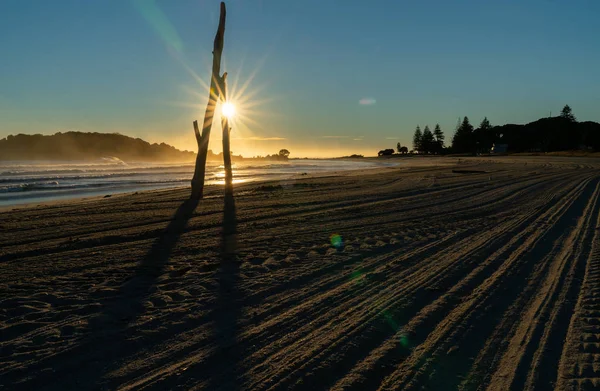 Strandtól Ápolás Között Driftwood Állva Beach Napkelte Nap Tört Felé — Stock Fotó