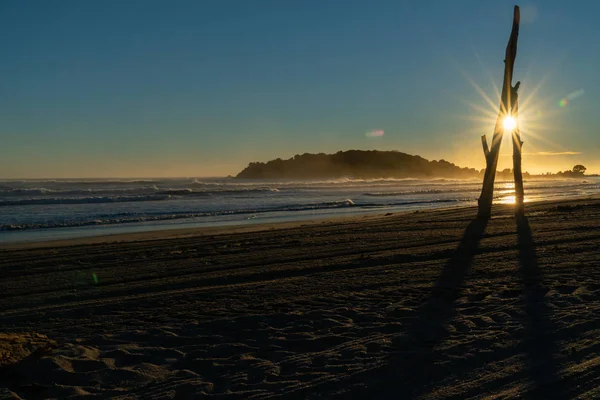 Tracks Beach Grooming Leading Away Sunrise Sun Burst Driftwood Standing — Stock Photo, Image