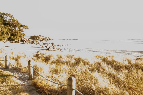 Defocused painterly effect beach scene grass, sand and rocks at base of Mount Maunganui.