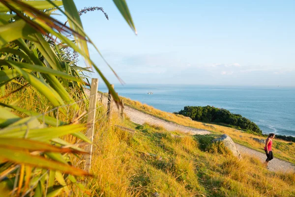 View from Mount Maunganui of walking track and blue Pacific beyo — Stock Photo, Image