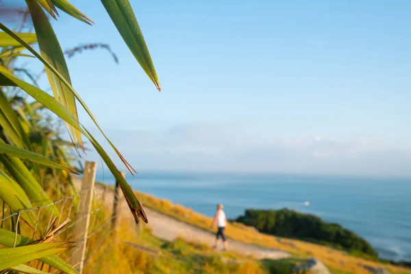 View from Mount Maunganui of walking track and blue Pacific beyo — Stock Photo, Image