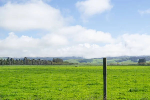 Typically South Island rural scene