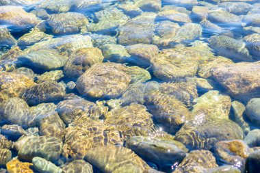 Nehir taşları net, temiz ve taze su altında
