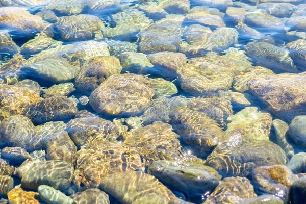 Nehir taşları net, temiz ve taze su altında