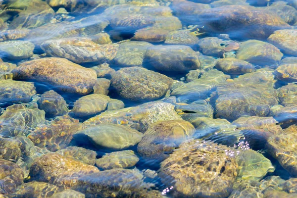 Nehir taşları net, temiz ve taze su altında