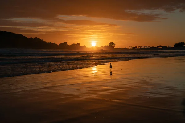 Nascer do sol dourado sobre praia — Fotografia de Stock