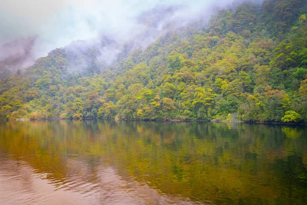 Bergen voldoen aan de zee van Doubtful Sound — Stockfoto