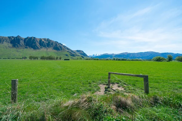 Distant mountain s beyond emerald green South Island pasture — Stock Photo, Image