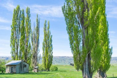 Küçük eski terk edilmiş çiftlik evi 