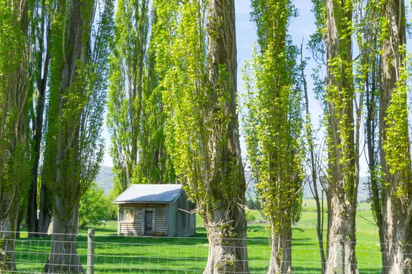 Kleines altes verlassenes Bauernhaus — Stockfoto