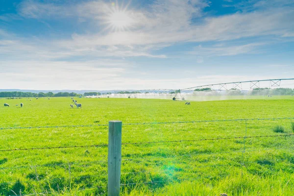 Sistema di irrigazione in funzione in una fattoria nel centro di Otago — Foto Stock