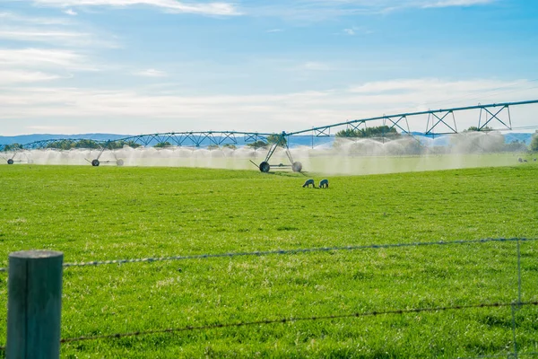 Système d'irrigation en exploitation dans une ferme du centre d'Otago — Photo