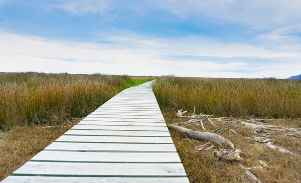 Longue passerelle en bois à travers la nature humide dans les lagunes de Wairau — Photo