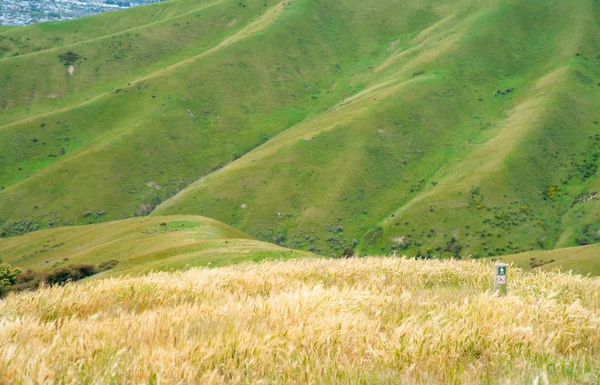 风景秀丽的威瑟山景观 — 图库照片