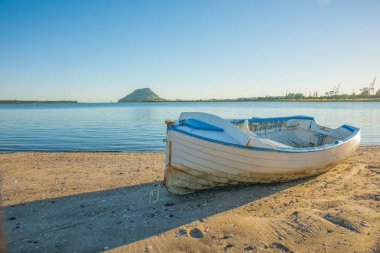 Sandal Tauranga harbour Beach