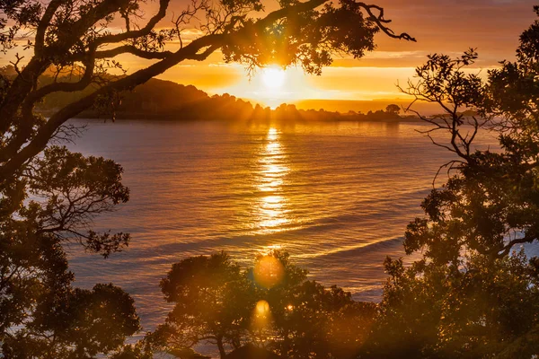 Sunrise photograph framed by branches and leaves — Stock Photo, Image