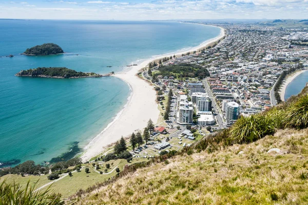 Vista a lo largo de largas playas de arena de Bay of Plenty, Nueva Zelanda — Foto de stock gratis