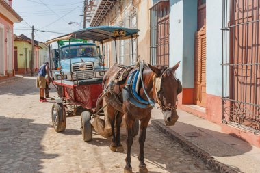 İki adam iş üzerinde düz lastik üzerinde mavi kamyon arkasında at ve vagon i