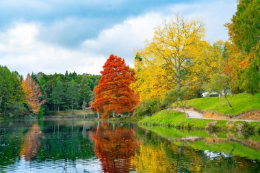 Göl üzerinde öğleden sonra sonbahar renkleri.