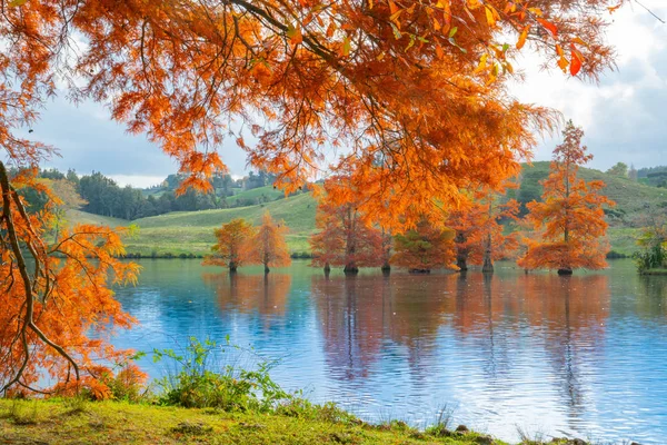 Göl üzerinde öğleden sonra sonbahar renkleri.