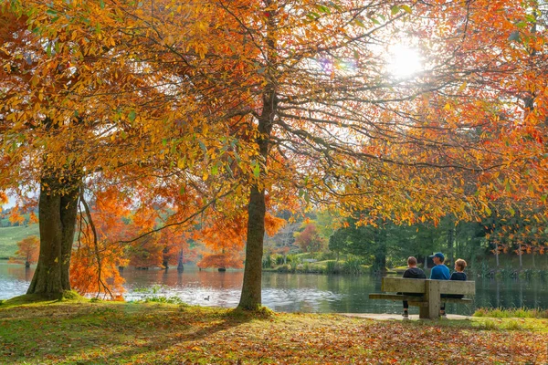 Colores de otoño tarde sobre el lago . —  Fotos de Stock