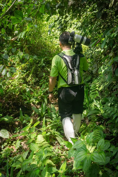 Guide and assitant carrying camers through dense rainforest of B