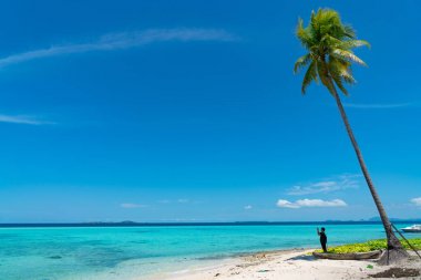 Tall coconut palms against tropical blue sky. clipart