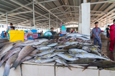 Kota Kinabalu ıslak veya balık pazarı