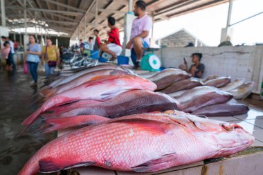 Kota Kinabalu ıslak veya balık pazarı
