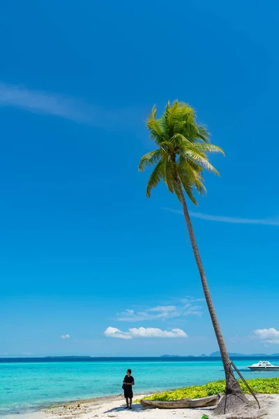 Hoge kokospalmen tegen tropische blauwe hemel. — Stockfoto