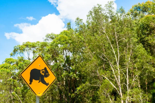 Знак, информирующий водителей австралийского штата Квинсленд о возможности — стоковое фото