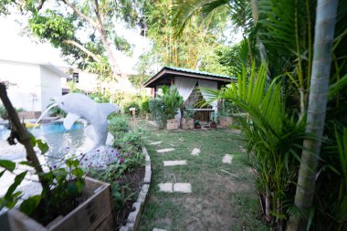 Tropikal iç ev tasarımı