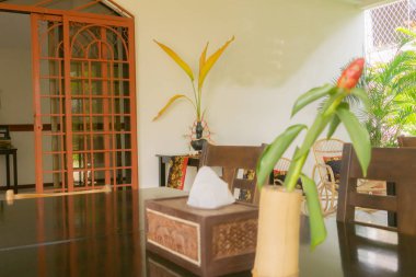 Tropikal iç ev tasarımı