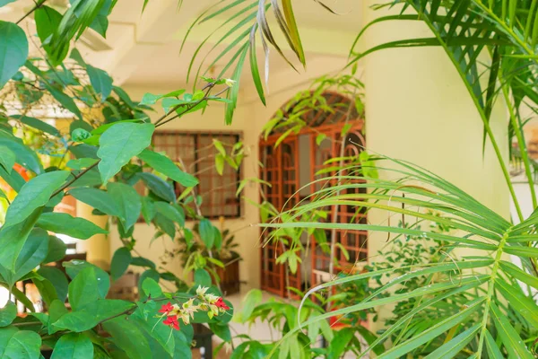 Diseño de interiores tropicales — Foto de Stock