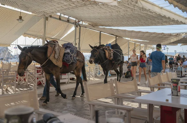 Stadt und Uferpromenade von Hydra auf der griechischen Insel — Stockfoto