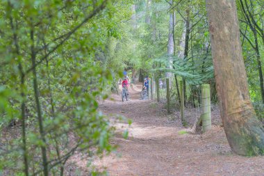 Arapuni 'deki Waikato Nehri Yolu.