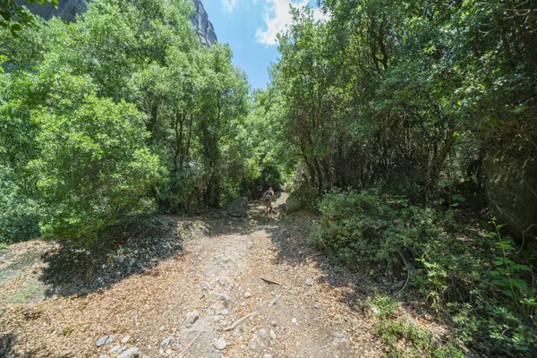 Imagen de fondo de pistas entre árboles y enormes rocas de Meteora — Foto de Stock