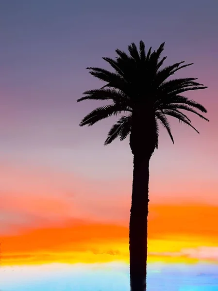 Silhouette de palmier contre ciel de coucher de soleil intensément coloré — Photo