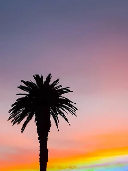 Silhouette de palmier contre ciel de coucher de soleil intensément coloré — Photo