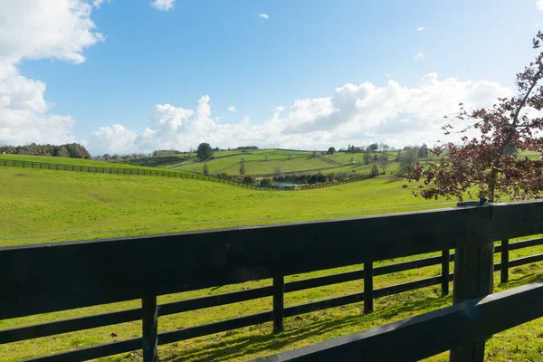 Terras Agrícolas Waikato Campos Verdes Expansivos Além Cerca Madeira Escura — Fotografia de Stock