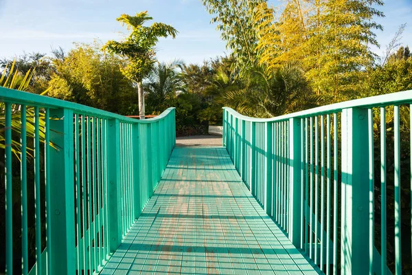 Leading lines of blue footbridge railing and path crossing valley to landscaped gardens.