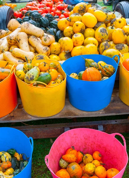 Frisches Gesundes Obst Und Gemüse Eimern Auf Anhänger Auf Dem — Stockfoto