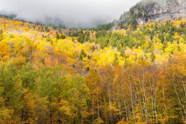Bulutlar parlak bir sonbahar ormanı vadisine dönüşür. Kayalık kayalıklar arasında. Maine USA, sonbahar sahneleri.